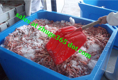 Rotomolded 800Liter Blue Insulated Fish Container Seafood Processing Insulated Container